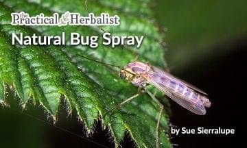 Mosquito spray Natural Bug Repellent spray recipe