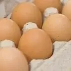 eggdying_2x2-3