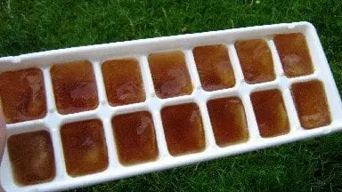 herbal ice cubes