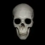 skull against a black background