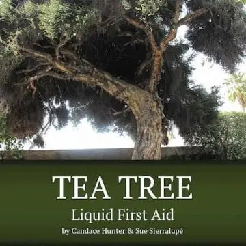 tea tree book cover