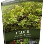 elder book cover