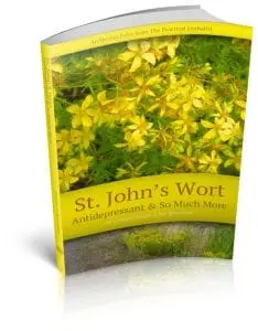 St. John's Wort: Antidepressant & So Much More