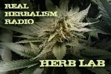 51.Herb Lab with Classic Cannabis and Herbal 101