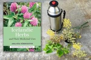 icelandic herbs and their medicinal uses