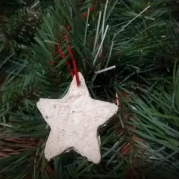 Seed Paper Ornament