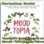 Show 170 Take Control of Your Moods - Sara-Chana Silverstein