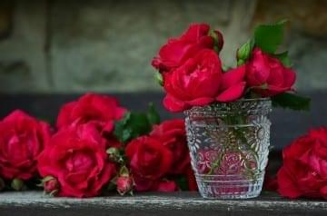 Roses in a glass vase and roses surrounding it on a table