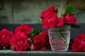 Roses in a glass vase and roses surrounding it on a table