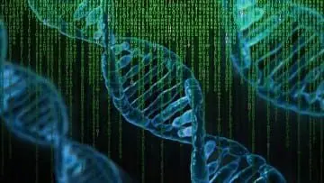 DNA strands with computer code