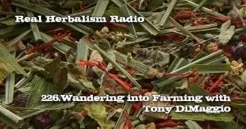 Tiger Tea Blend Sacred Blossom Farm Real Herbalism Radio 226.Wandering into Farming with Tony DiMaggio