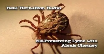 Real Herbalism Radio 228.Preventing Lyme with Alexis Chesney with Tick in Background