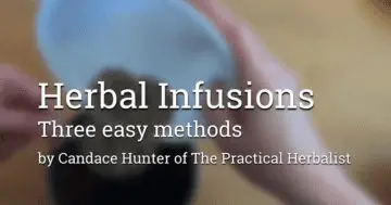 Herbal Infusions Three Easy Methods by Candace Hunter of The Practical Herbalist