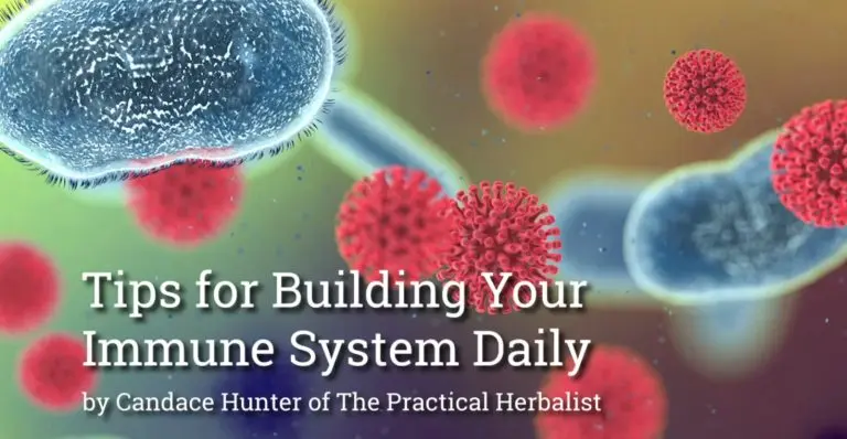 Viruses in background. Immune System Building Tips with Candace Hunter of The Practical Herbalist