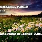 Chamomile Field in background Real Herbalism Radio show 253.Connecting to Herbs with Rebecca Ingalls Herb Chat
