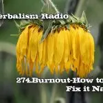 Wilted calendula flower in field 274.Burnout-How to ID and Fix it Naturally Real Herbalism Radio